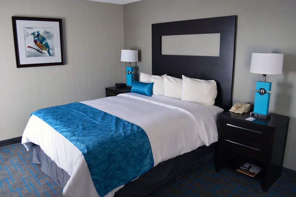 Holiday Inn & Suites Syracuse Airport Liverpool by IHG - photo 13