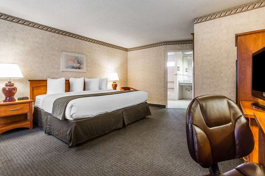Quality Inn & Suites Silicon Valley - photo 9