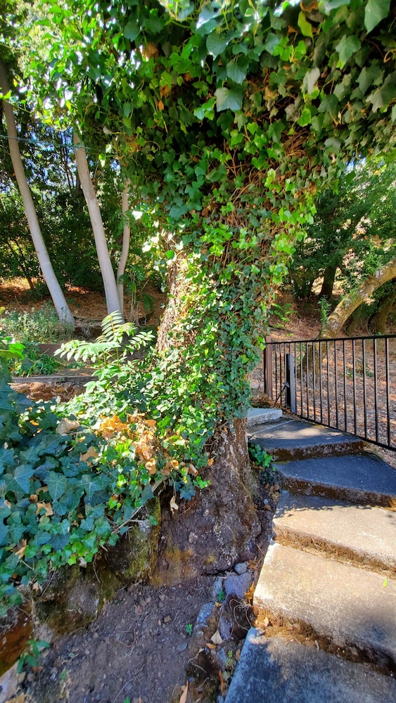 Clear Lake Vista Resort - photo 9