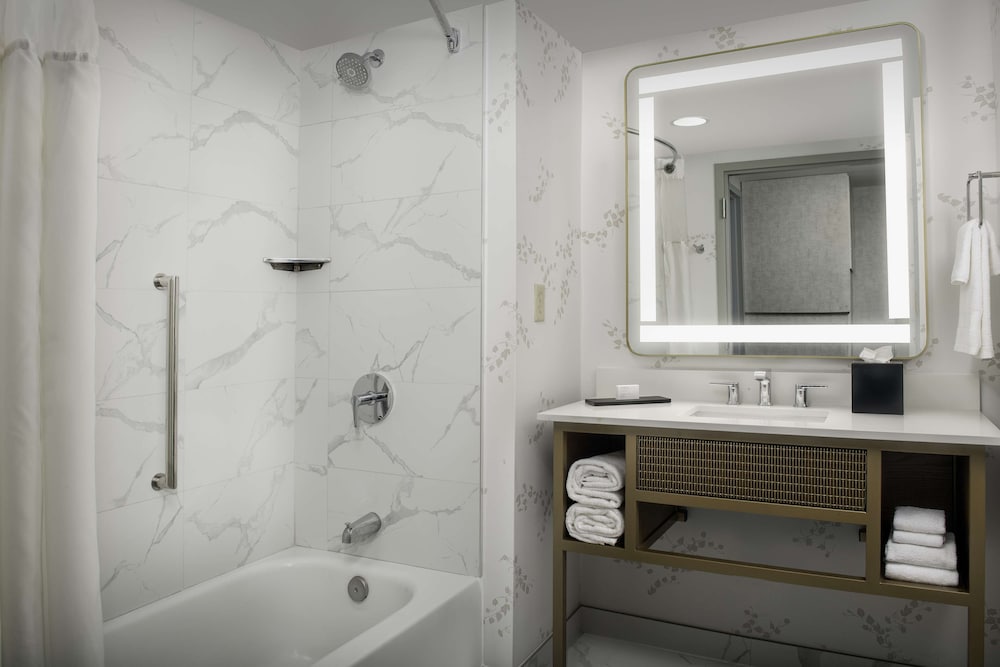 Embassy Suites by Hilton Dulles North Loudoun - photo 23