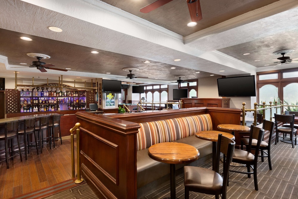Embassy Suites by Hilton Dallas DFW Airport South - photo 32