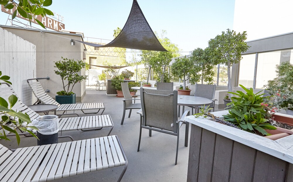 Hollywood Orchid Suites - photo 29