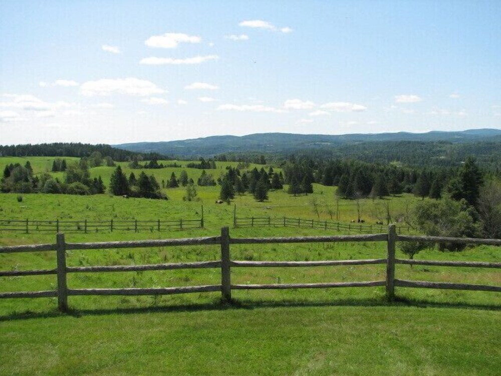 The Wildflower Inn - photo 15