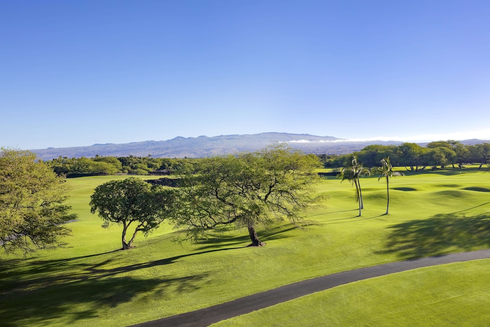 Fairmont Orchid - photo 174