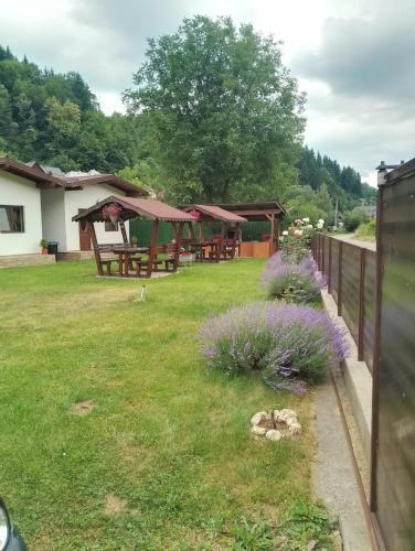 Casutele Andreica in Viseu De Sus, Romania