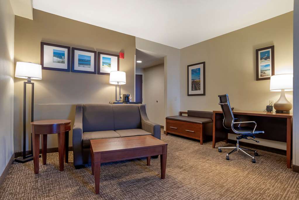 Comfort Suites Foley - photo 5