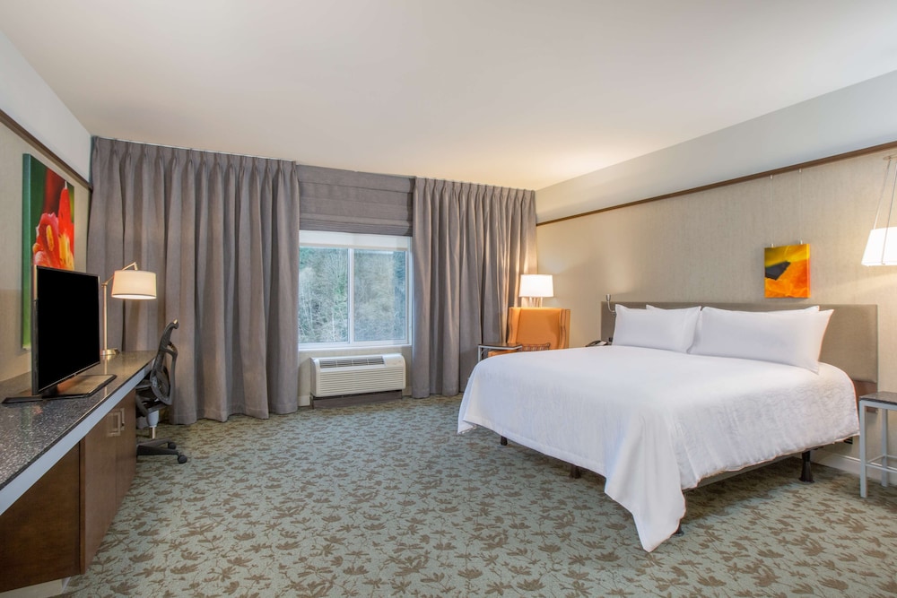 Hilton Garden Inn Olympia - photo 11