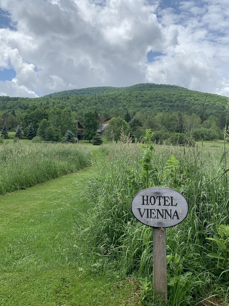Hotel Vienna - photo 34