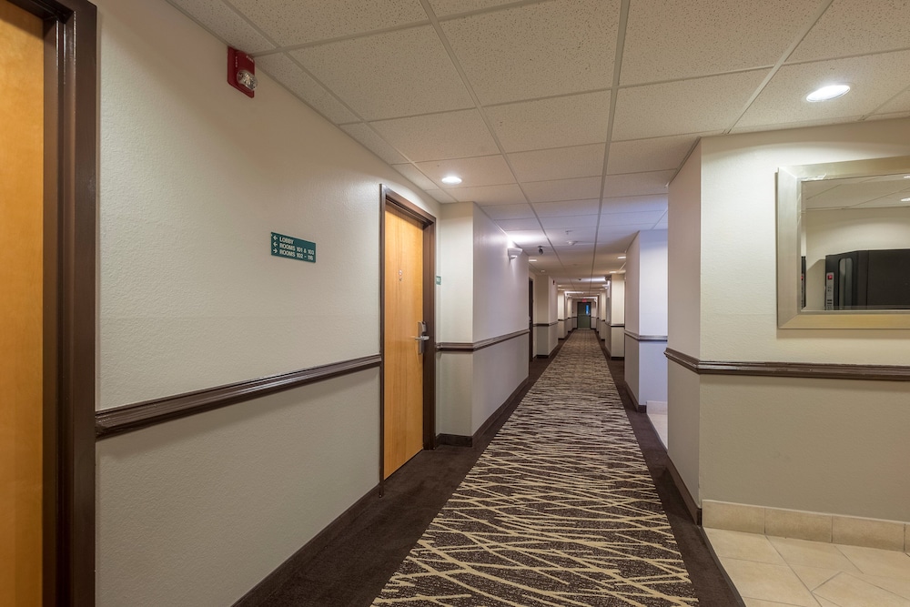 Red Roof Inn & Suites Biloxi Ocean Springs - photo 38