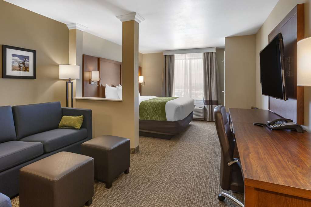 Comfort Suites Albuquerque Airport - photo 8