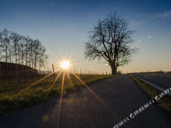 Weingut Ellernhof Landhotel — Alzey — photo 3