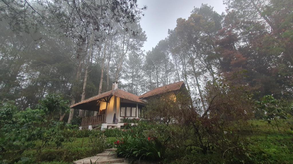 Kartika Lodge — 4-Star Luxury Hotel in Bandung, Indonesia