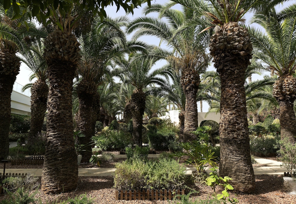 שטחי חוץ / גן