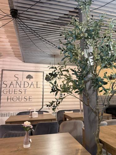 Sandal in Unknown City, Ukraine