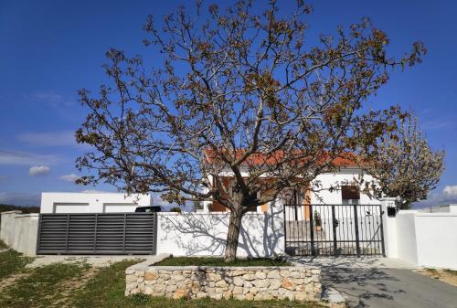 Family friendly house with a swimming pool Bulic Zagora 18943 — 4-Star Luxury Hotel in Benkovac, Croatia