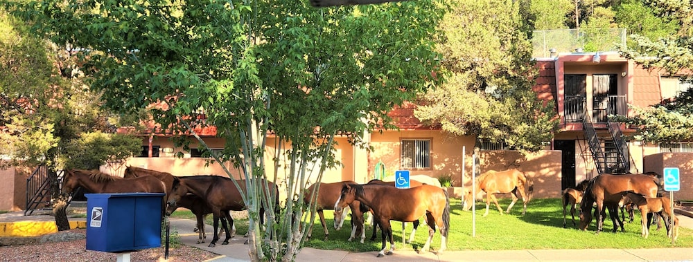 Pinecliff Village Resort - photo 37