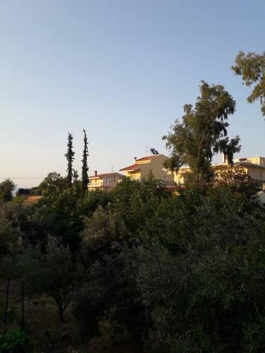 George Geust House — Oropos — photo 2