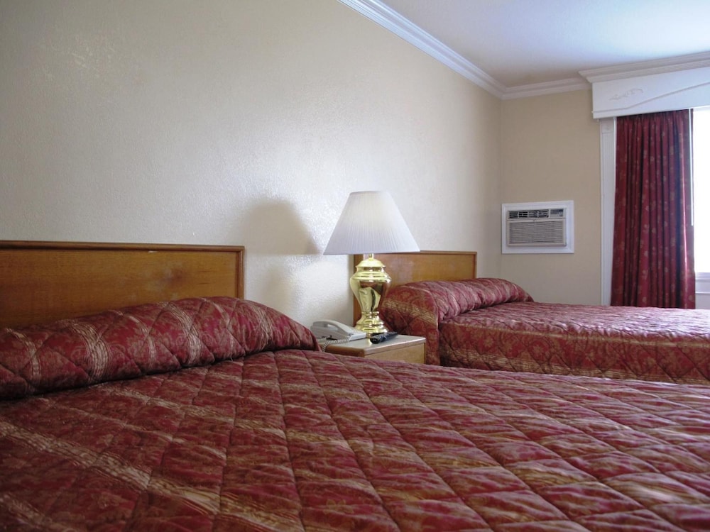 Merrill Field Inn - photo 16