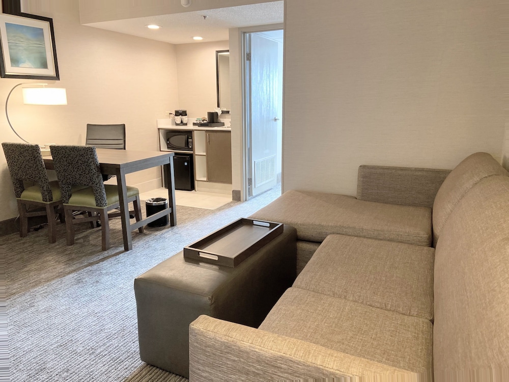 Embassy Suites by Hilton Chicago Schaumburg Woodfield - photo 16