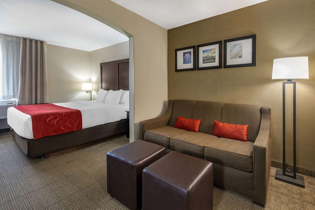 Comfort Suites Highlands Ranch Denver Tech Center Area - photo 19