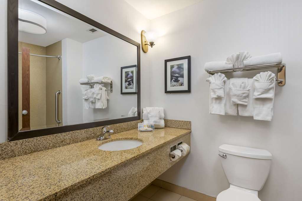 Comfort Suites Conference Center Rapid City - photo 12