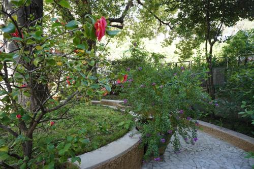 La Casa Dell'albero — 4-Star Luxury Hotel in La Spezia, Italy