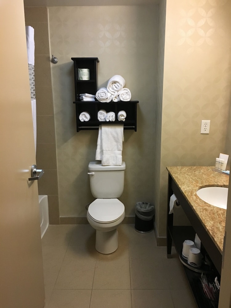 Hampton Inn & Suites Tampa Northwest Oldsmar - photo 15