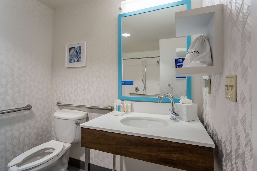 Hampton Inn & Suites Herndon Reston - photo 29