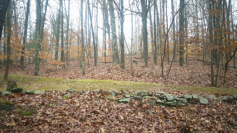 Lil Black Bear Inn - photo 152
