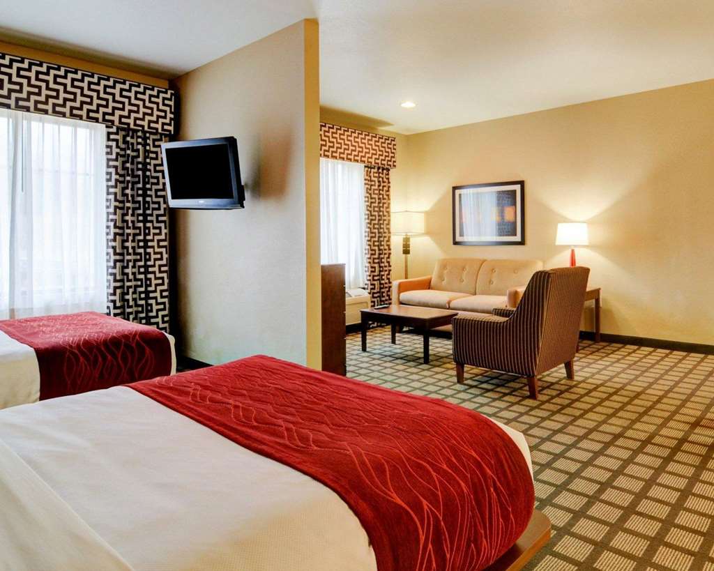 Comfort Inn & Suites Fort Smith I 540 - photo 41