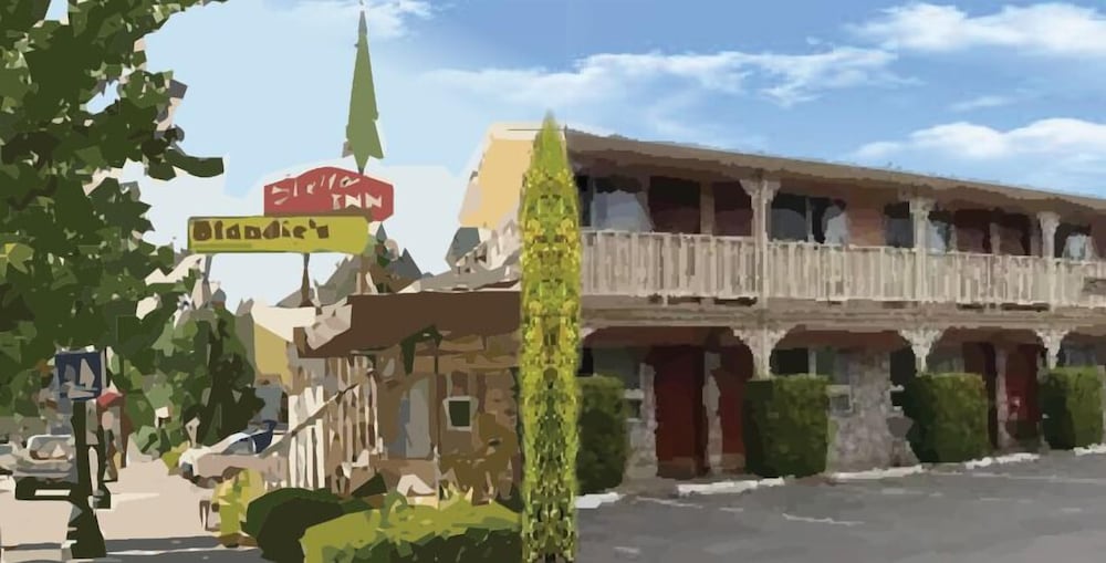 Shelton Inn - photo 17
