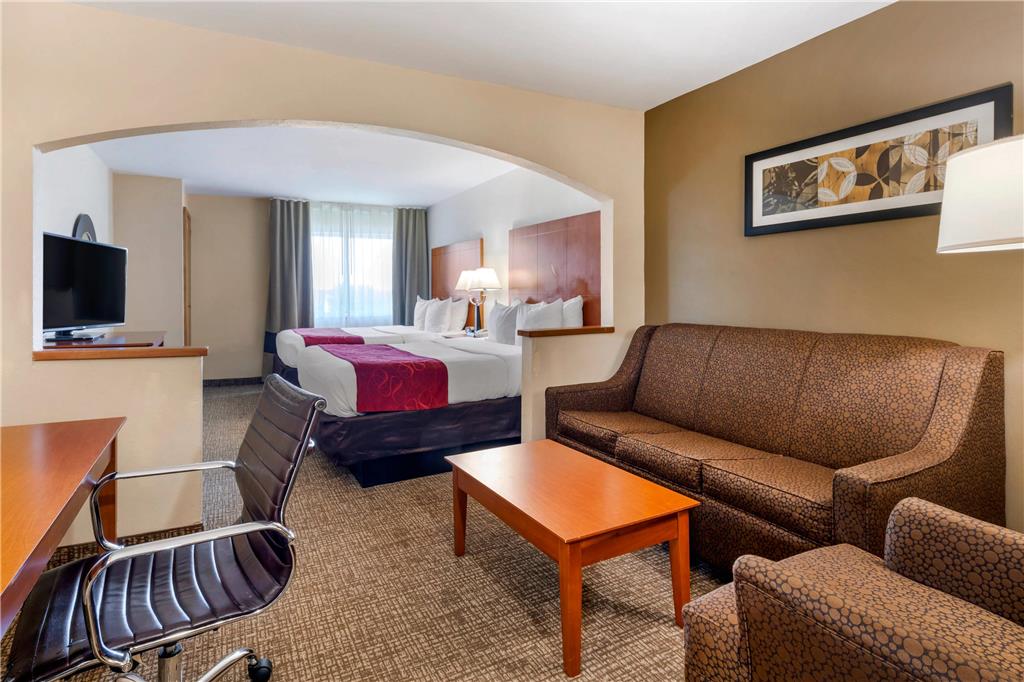 Comfort Suites North Dallas - photo 28