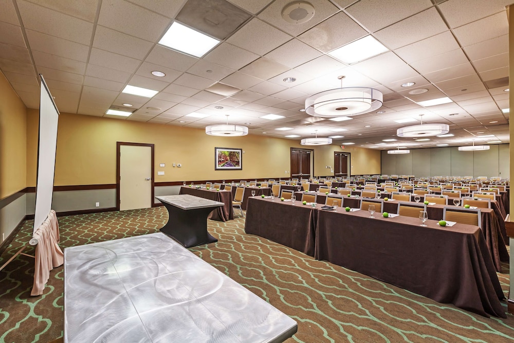 Embassy Suites by Hilton Dallas Market Center - photo 48