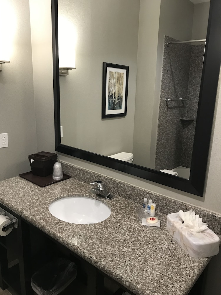 Comfort Suites at Katy Mills - photo 25