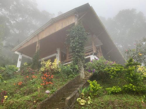 Cabaña Guarumo de la Sierra Minca in Unknown City, Colombia