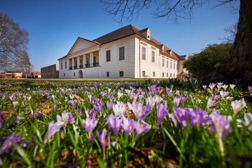 Bildungshaus Schloss Retzhof — hotel in Wagna