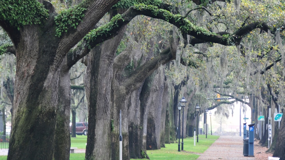 Hotel Indigo Savannah Historic District by IHG - photo 78