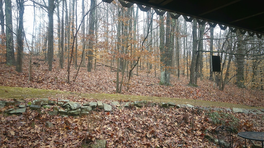 Lil Black Bear Inn - photo 153