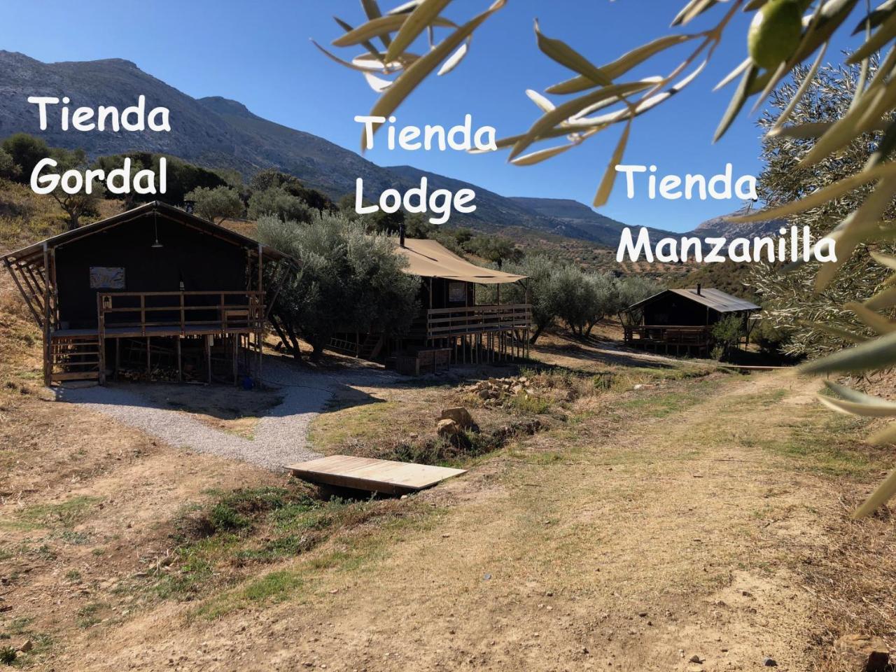 Cortijo Dos Santos — Antequera
