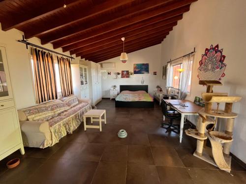 Digital Detox with 100 Animals Nature Stay in Unknown City, Cyprus