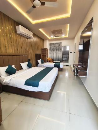 Marco luxury hotel — Anand — photo 2