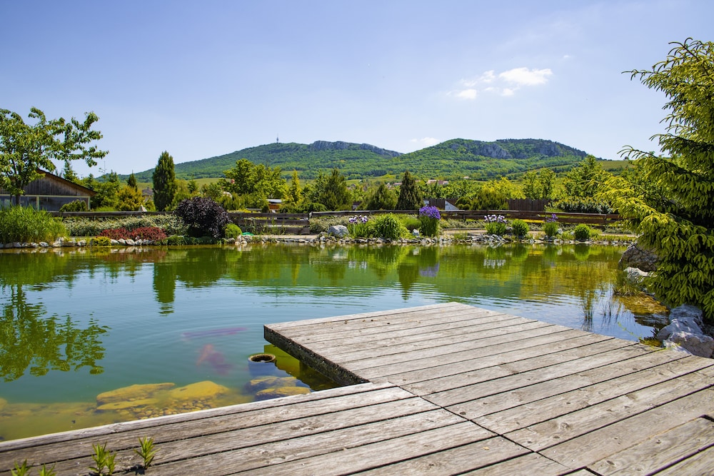 Amenity Penzion Horni Vestonice in Dolni Dunajovice, Czech Republic