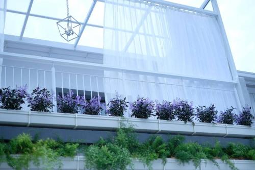 Comfy Sofy 23 Balcony Garden in Tanah Rata, Malaysia