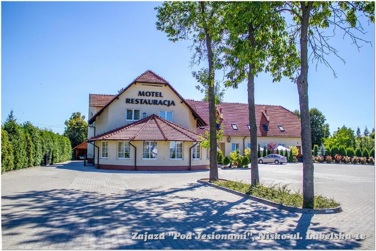 Zajazd Pod Jesionami pet-friendly hotel Nisko