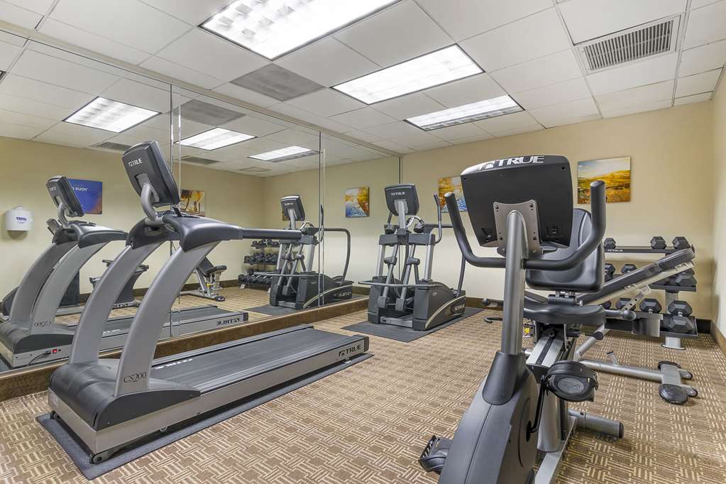 Comfort Inn Near Six Flags St. Louis - photo 30
