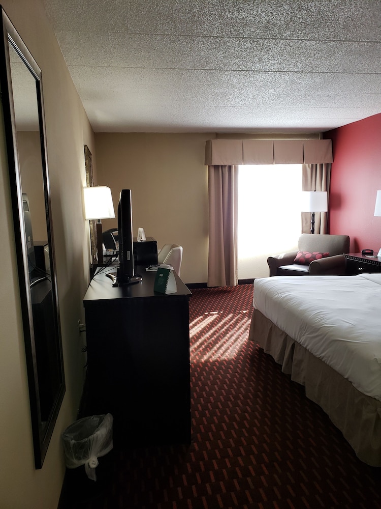 Wyndham Garden Dover - photo 5