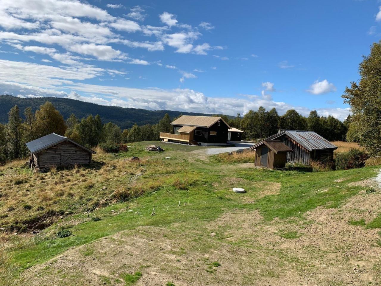 Flott Hytte Sentralt I Hallingdal — Al — photo 3