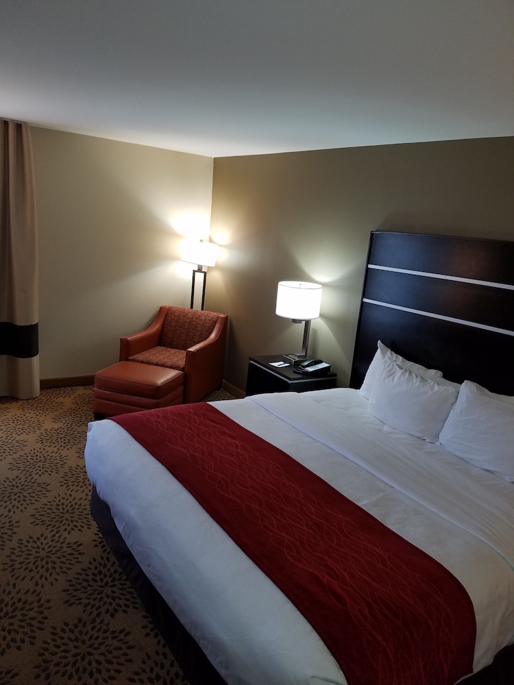 Comfort Inn North of Asheville - photo 8