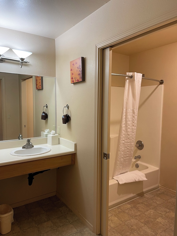 Mount Shasta Resort - photo 45