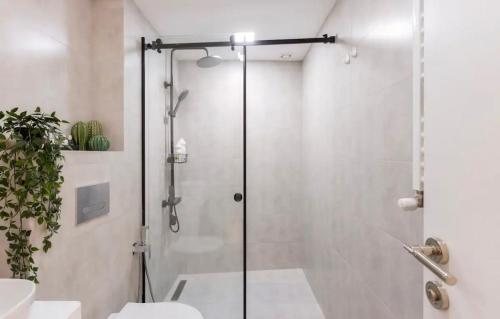 Waterfall City Centre apartment